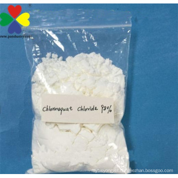 PanPan plant hormone supplier PGR cycocel chlormequat ccc 98%tc